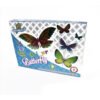 Butterfly / பட்டர்பிளை